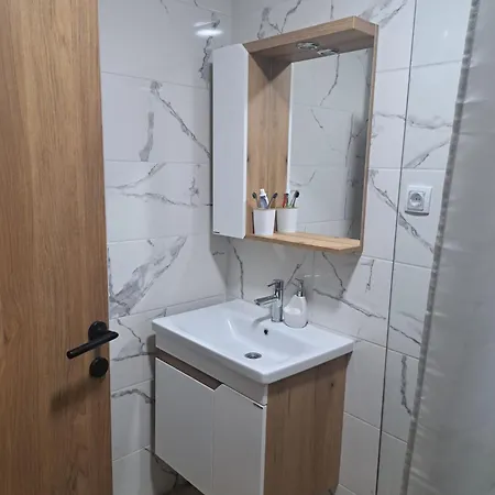 Apartamento Rakovic *